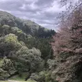 鎌北湖の写真_188117
