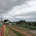 毛呂山町葛木の写真_188124