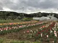 毛呂山町葛木の写真_188128