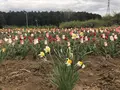 毛呂山町葛木の写真_188129
