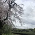 武者小路実篤記念新しき村美術館の写真_188135