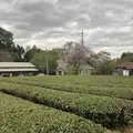 武者小路実篤記念新しき村美術館の写真_188141
