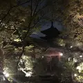 THE SODOH HIGASHIYAMA KYOTO （ザソウドウ）の写真_188212