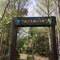 ターザニアの写真_188319
