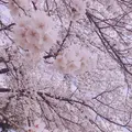 稲荷大明神の写真_188362