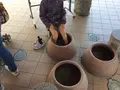 道の駅福良の写真_188506
