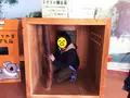 淡路ファームパーク イングランドの丘の写真_188518
