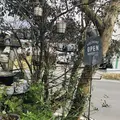 バウハウスカフェの写真_188588