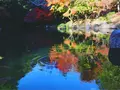 成田山公園の写真_188705
