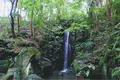 成田山公園の写真_188721