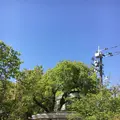 佐賀県護国神社の写真_188857