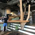 Nui.（ヌイ） HOSTEL & BAR LOUNGEの写真_188891