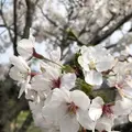 丹後由良駅の写真_189010