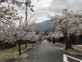 丹後由良駅の写真_189011