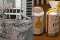 成城石井 横浜ランドマーク店の写真_189351