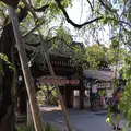 平野神社の写真_189385