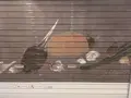 錦市場商店街の写真_189390