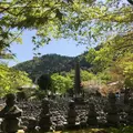 化野念仏寺の写真_189418
