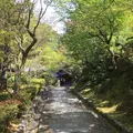 化野念仏寺の写真_189419