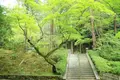 今熊野観音寺の写真_189990
