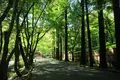 今熊野観音寺の写真_190005