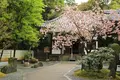 御寺 泉涌寺の写真_190008