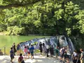 十分老街の写真_190149