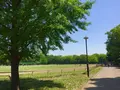 光が丘公園の写真_190370
