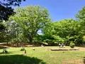 光が丘公園の写真_190372