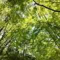 光が丘公園の写真_190373