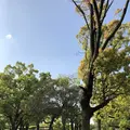 ザビエル公園の写真_190392