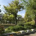 ザビエル公園の写真_190394