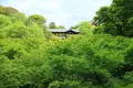 東福寺の写真_190492