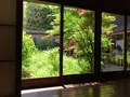 宵の口の写真_190717