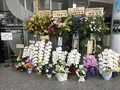 キヤノンギャラリー Sの写真_190762