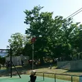 岐阜県こどもの国の写真_190976