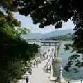 竹島の写真_191159