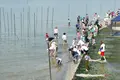 竹島の写真_191164