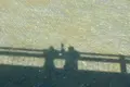 竹島の写真_191166