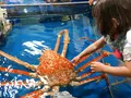 竹島水族館の写真_191188