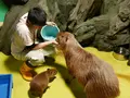 竹島水族館の写真_191192