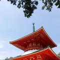 壇上伽藍の写真_191348