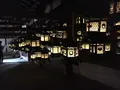 春日大社の写真_191554