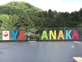 鶴仙渓の写真_192148