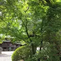 川越大師 喜多院の写真_192160