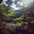 根津美術館の写真_192179