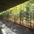 根津美術館の写真_192182