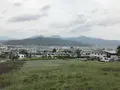 首塚稲荷神社の写真_192261
