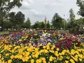 駿府城址の写真_192270