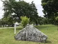 駿府城址の写真_192272